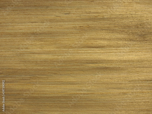 Natural yellow cedar wood texture background. veneer surface for interior and exterior manufacturers use.