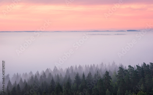 Scenic foggy landscape with mood forest at summer morning at National park, Finland. High angle aerial view.