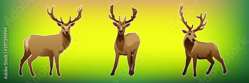 Reindeers