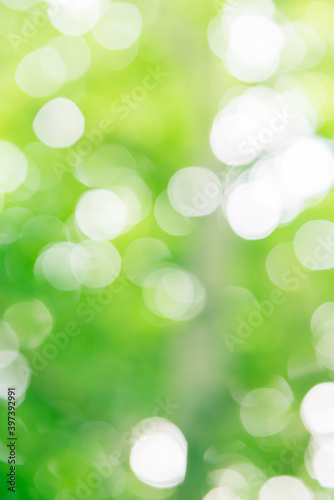 Soft green background bokeh