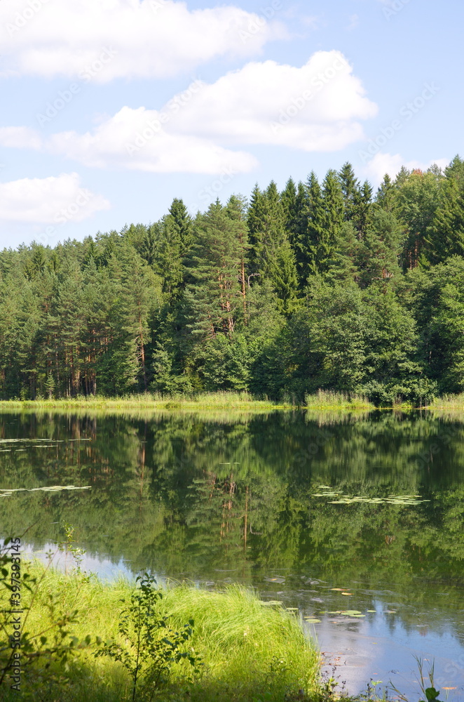 Nature of Seliger. Summer view of lake Dohlets in Tver region, Russia
