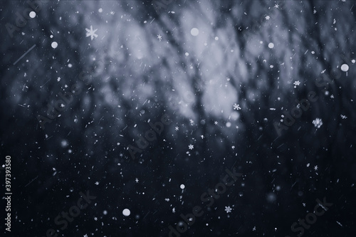 snow flakes  snow falling  abstract winter background