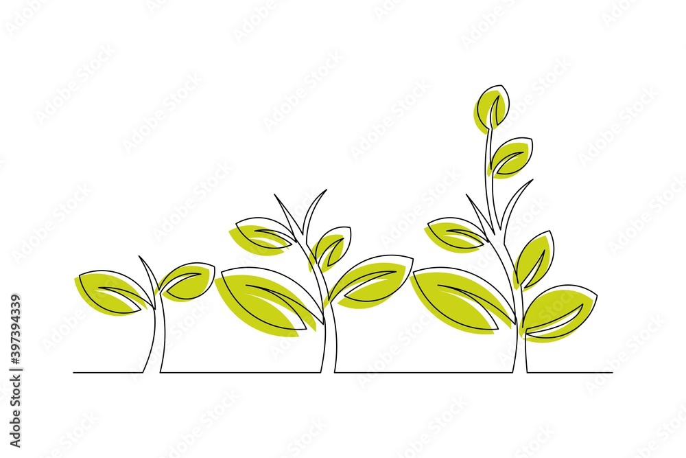 Continuous line drawing of step of tree growth. Vector illustration Continuous line drawing of step of tree growth. Vector illustration
