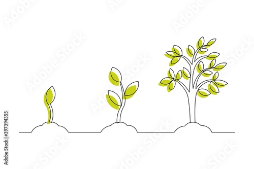Continuous line drawing of step of tree growth. Vector illustration