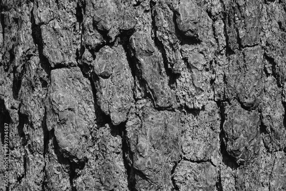 Obraz premium texture