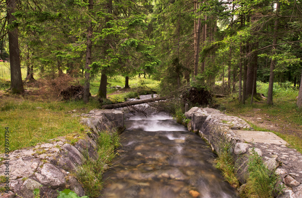 Fototapeta premium Bystra river in Kuznice near Zakopane. Poland