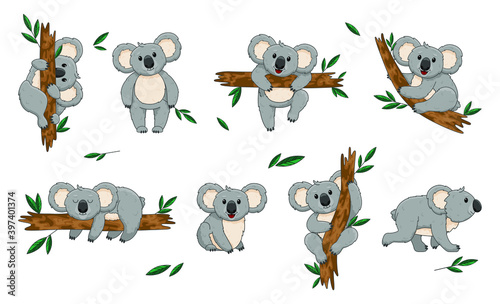 Koala bear. Australia animal, baby hugging mom. Cute koala. Children's design print for textiles, t-shirts, banner, background, nursery.