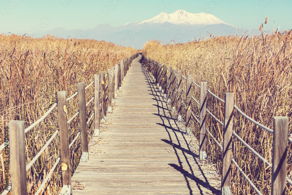 Obraz premium Boardwalk