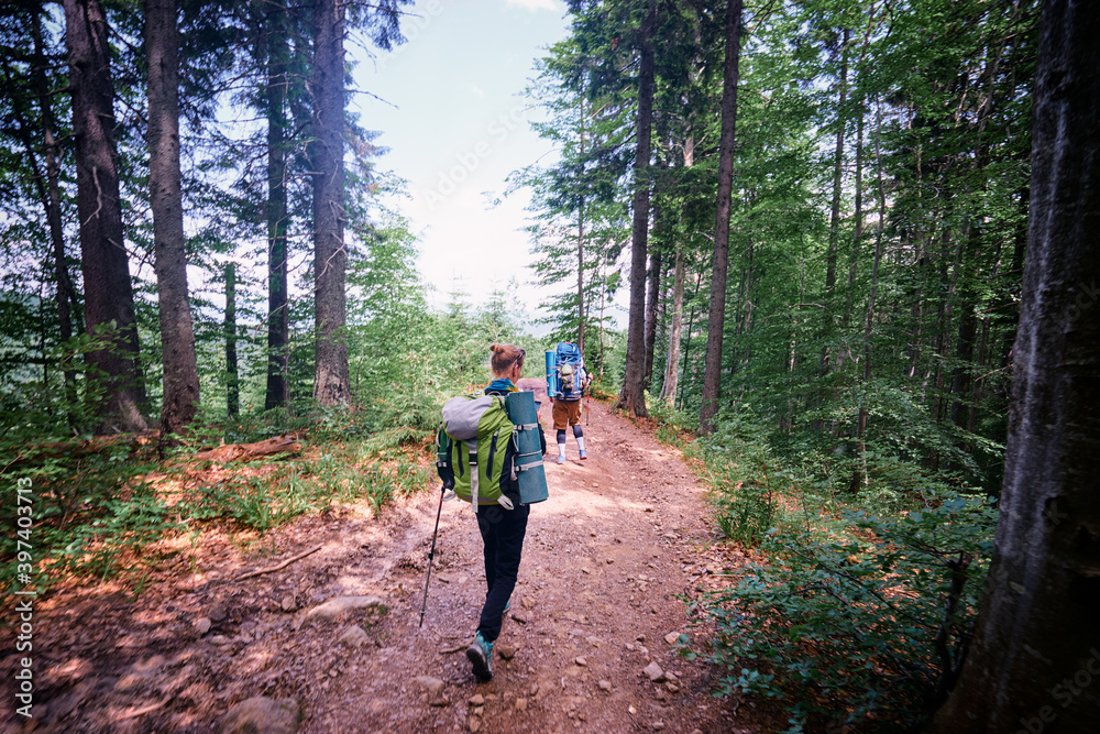 Rear view of two young people walking down the trail path on forest. Young couple hiking with backpacks.