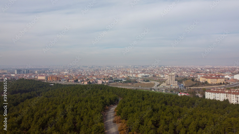 Eskisehir City Forest aerial drone view on pine forest