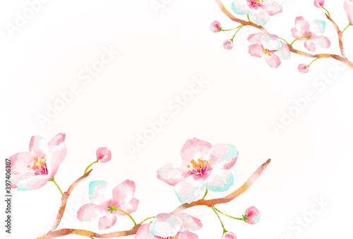 優しいタッチの桜のフレーム © Hirose