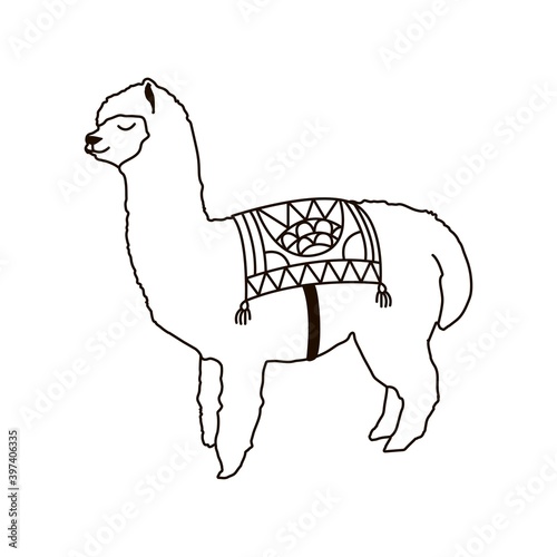 Hand drawn alpaca isolated on a white. Vector illustration. Hand drawn Peruvian animal, black and white doodle. Cute llama for tattoo design.