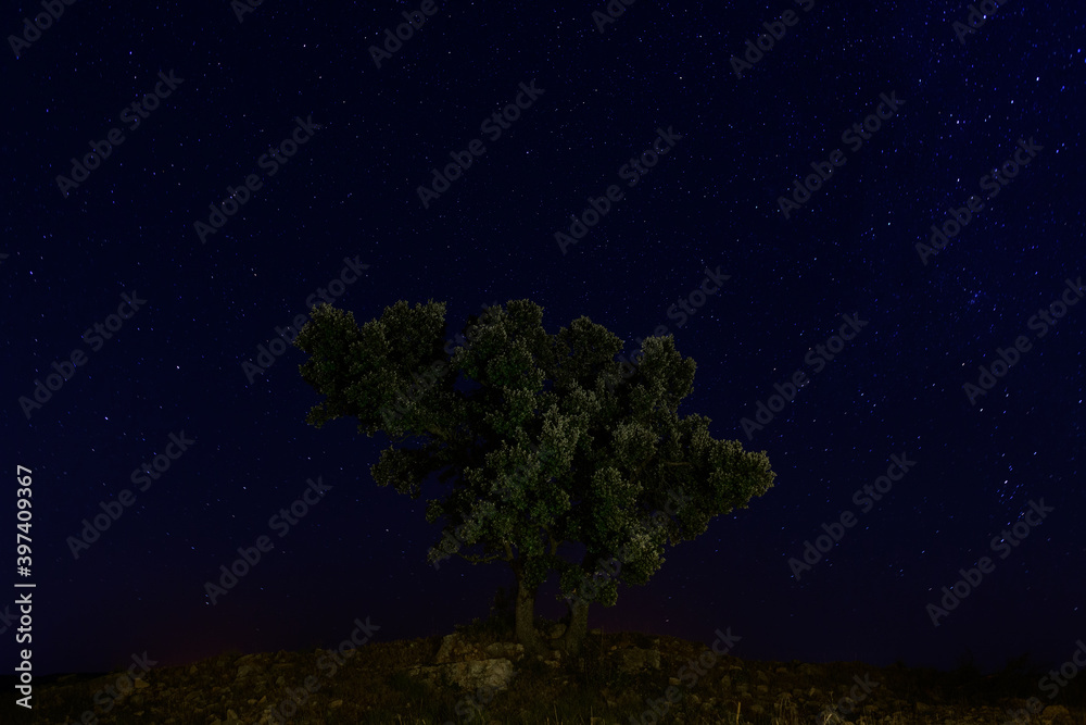 Paisaje nocturno con árbol solitario y cielo estrellado. Teruel. Aragón. España. Europa Paisaje nocturno con árbol solitario y cielo estrellado. Teruel. Aragón. España. Europa