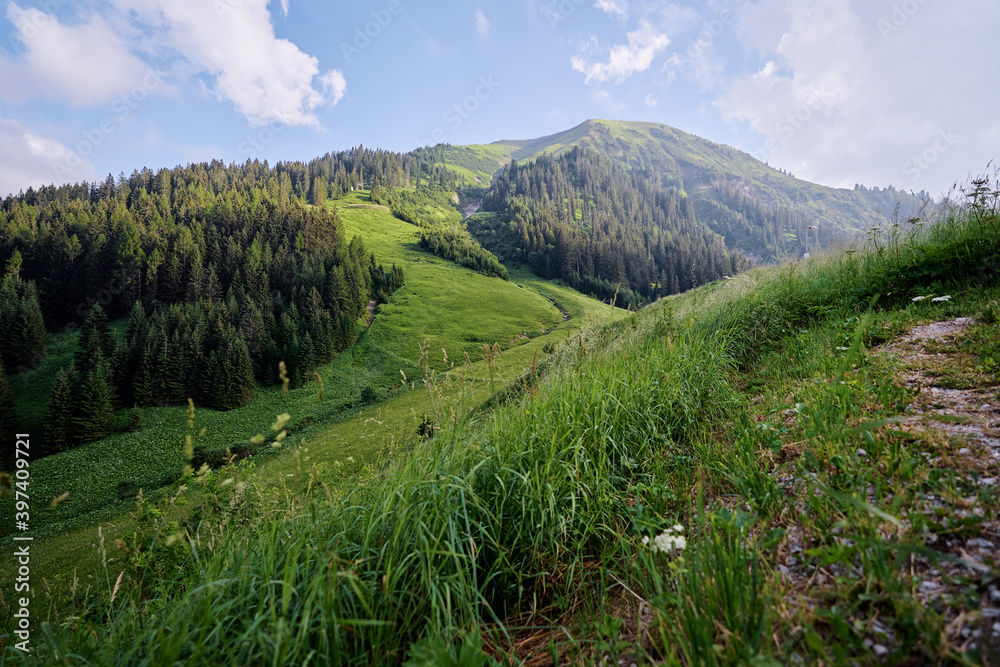 Fototapeta premium Beautiful summer mountains landscape. Green Alps view.