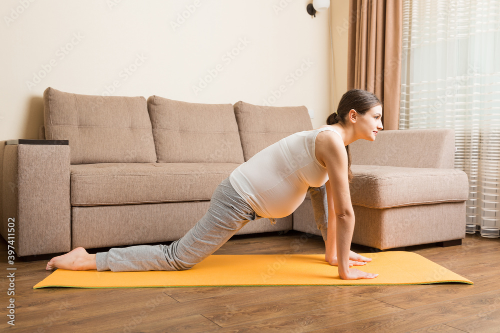 Portrait of young pregnant yoga model working at the home. Pregnancy Yoga and Fitness concept at coronavirus time Portrait of young pregnant yoga model working at the home. Pregnancy Yoga and Fitness concept at coronavirus time
