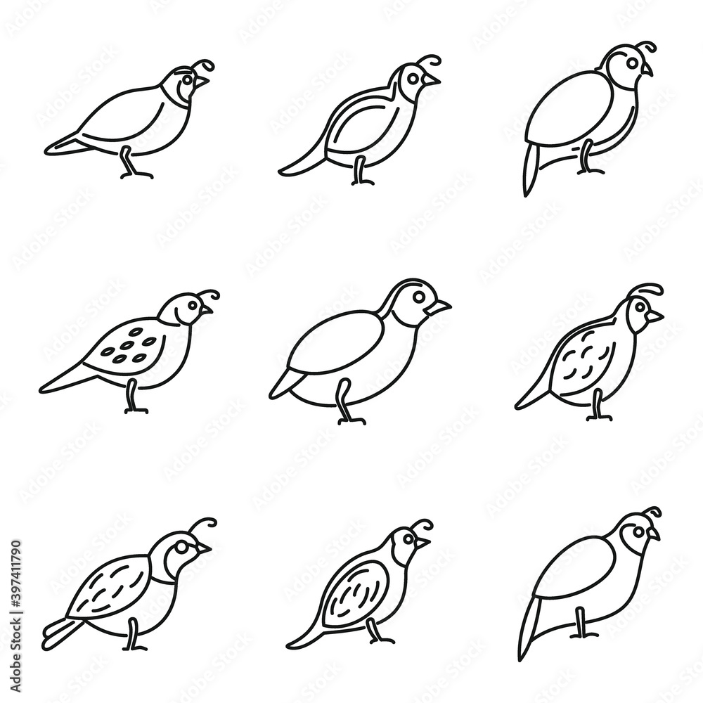 Quail bird icons set. Outline set of quail bird vector icons for web design isolated on white background