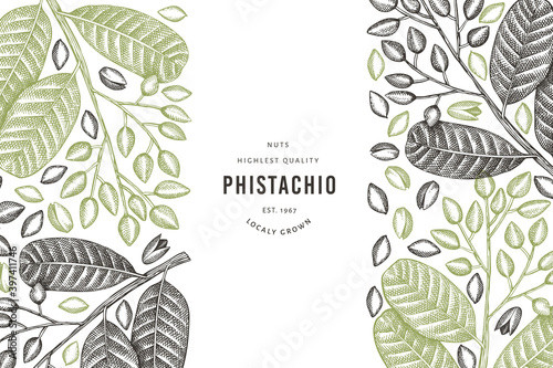Hand drawn phistachio branch and kernels design template. Organic food vector illustration on white background. Retro nut illustration. Engraved style botanical banner.