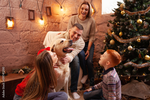 A happy family of four and a dog celebrate the New Year. Dad, mom, son and daughter love the dog and have fun against the Christmas tree. Labrador and kids.