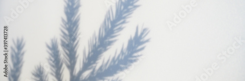 blurred photo of a shadow from a christmas tree branch on a white gray background of a wall or table. banner