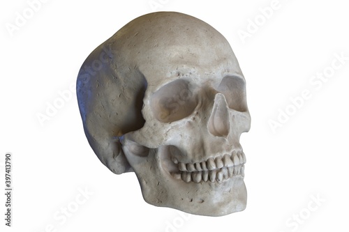 3D render of Marble sculpture of Human Skull isolated on white