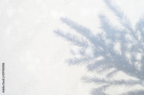blurred photo of a shadow from a christmas tree branch on a white gray background of a wall or table. falling snow © Ksenia