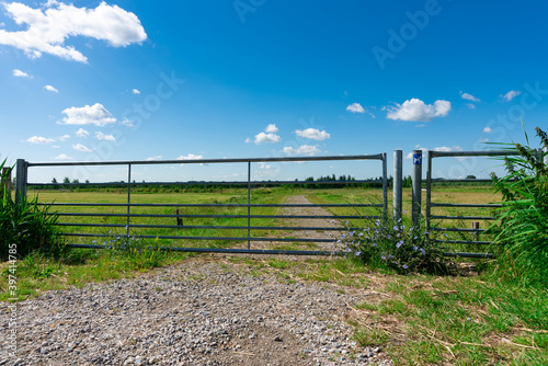 Fence and hiking path through IJsselmonde Waalbos, Ridderkerk, The Netherlands