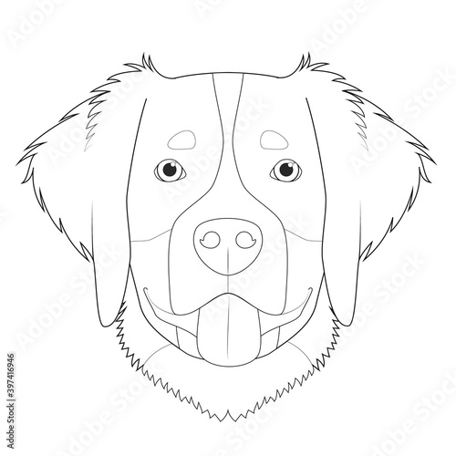 Bernese Mountain Dog easy coloring cartoon vector illustration. Isolated on white background