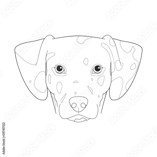 Dalmatian dog easy coloring cartoon vector illustration. Isolated on white background