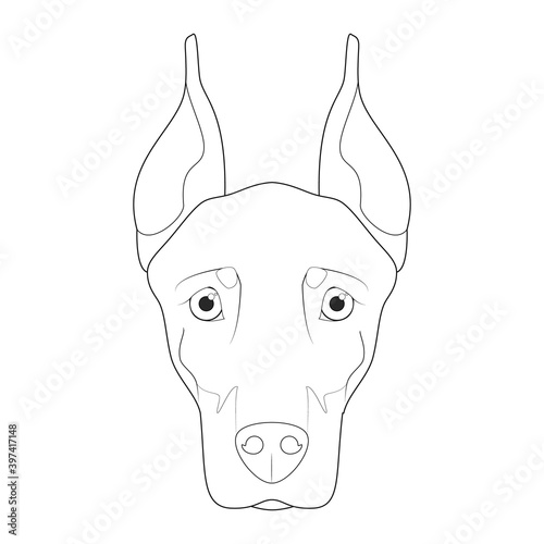 Dobermann dog easy coloring cartoon vector illustration. Isolated on white background
