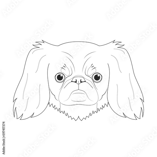 Pekingese dog easy coloring cartoon vector illustration. Isolated on white background