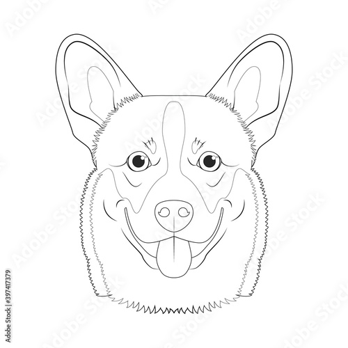 Pembroke Welsh Corgi dog easy coloring cartoon vector illustration. Isolated on white background
