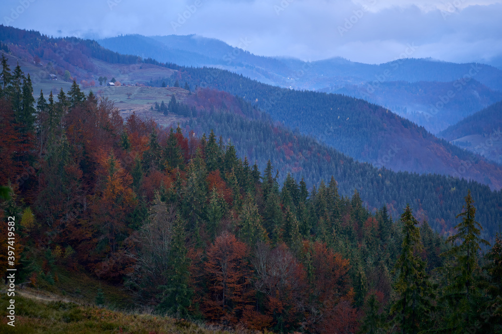 Colorful mountains covered in forest