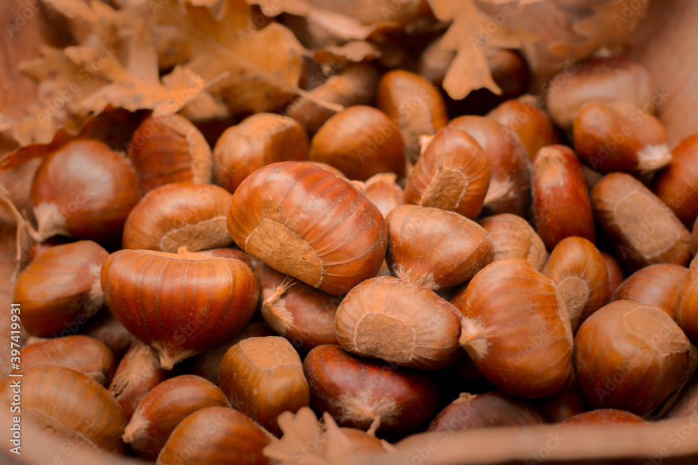 deliciously sweet italian chestnuts deliciously sweet italian chestnuts