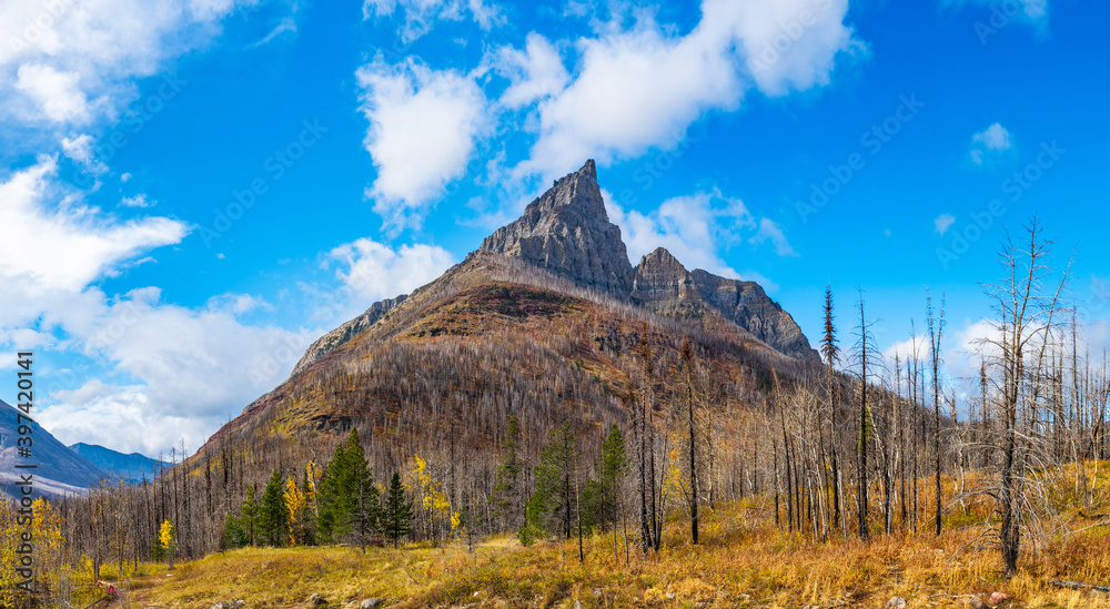Red Rock Canyon in autumn foliage season morning. Mount Blakiston, blue sky with white clouds in the background. Waterton Lakes National Park, Alberta, Canada.
