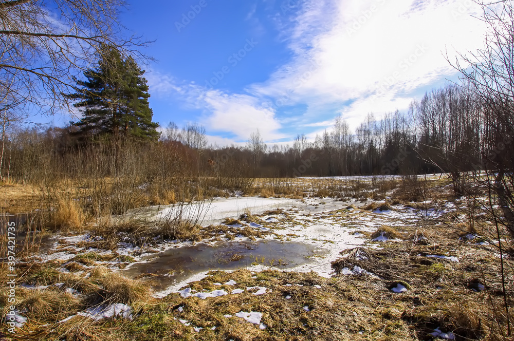 Winter rural landscape with melting snow on meadow. Winter rural landscape with melting snow on meadow.