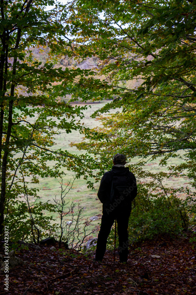 hiker in the woods trekking