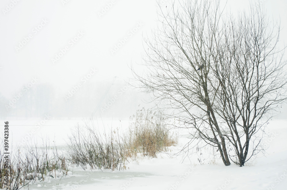Winter landscape. Snowfall Winter landscape. Snowfall