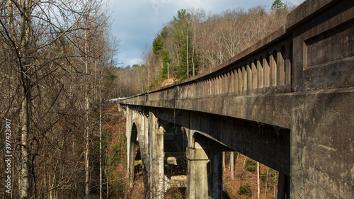 Spring in the Blue Ridge Mountains