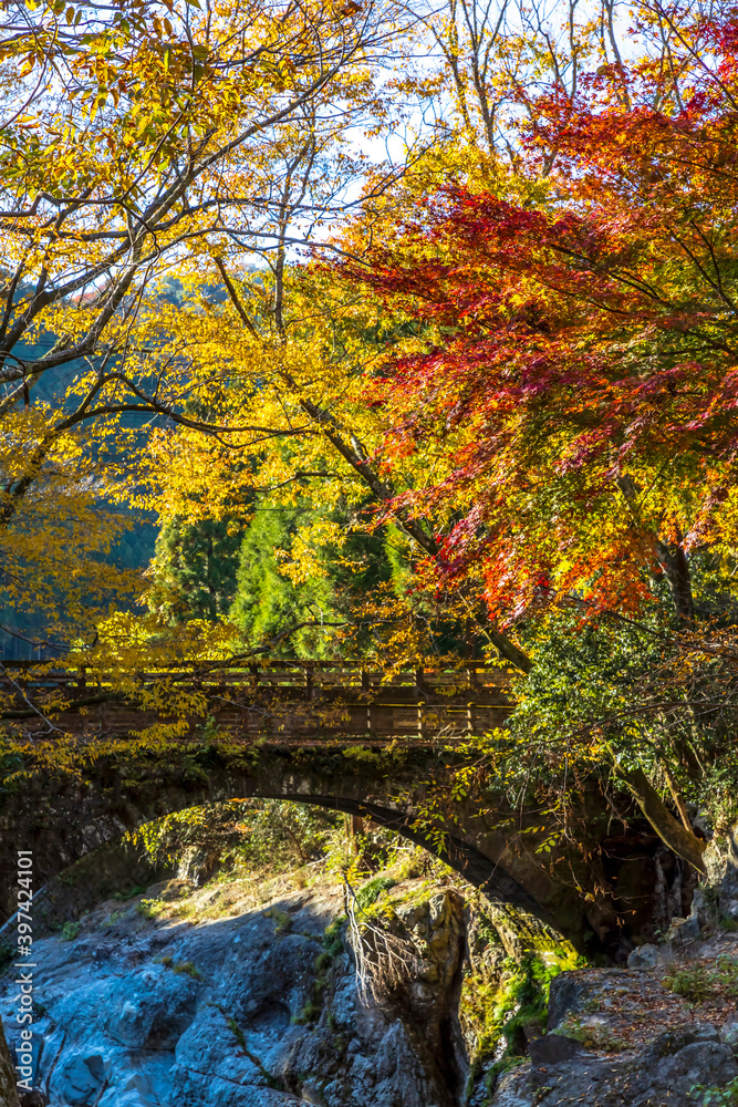 魔林狭の紅葉
魔林狭の紅葉