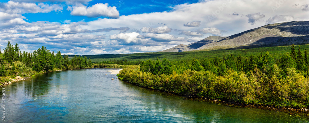 north river in a forest area in the subpolar urals