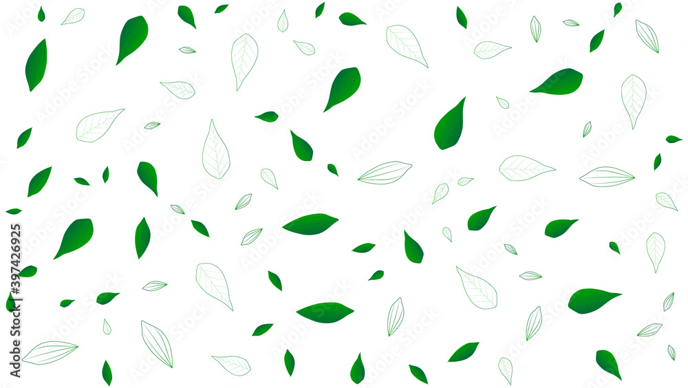 white background with green leaves white background with green leaves