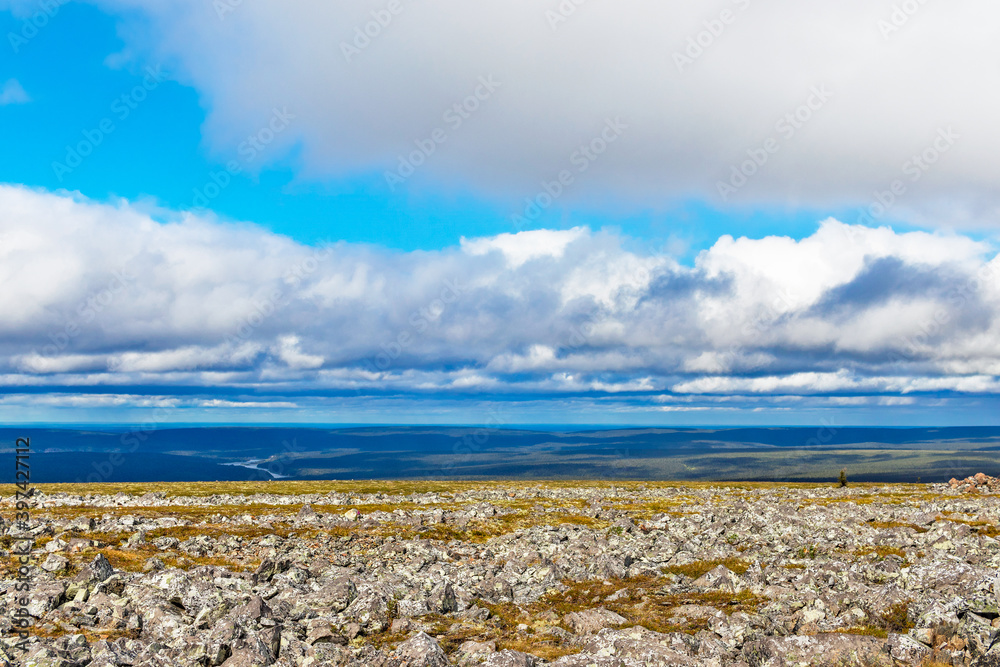 rocky tundra and taiga in the distance on a summer day rocky tundra and taiga in the distance on a summer day