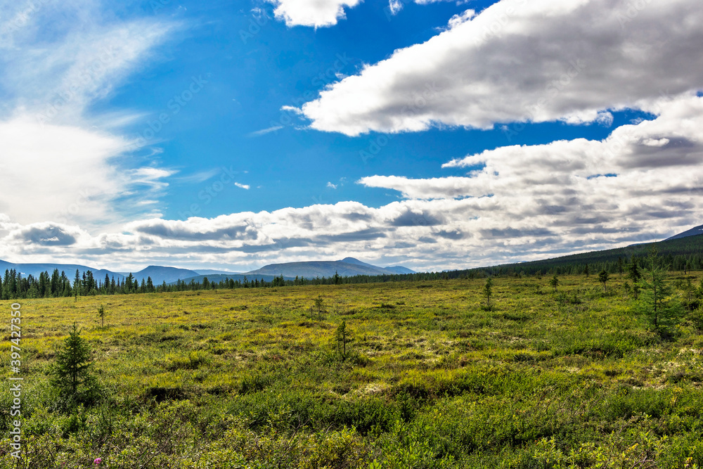 subpolar tundra forest and mountains in the urals subpolar tundra forest and mountains in the urals