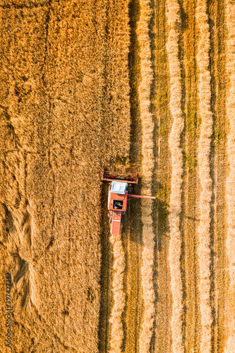 Top view of red harvester on golden field in summer