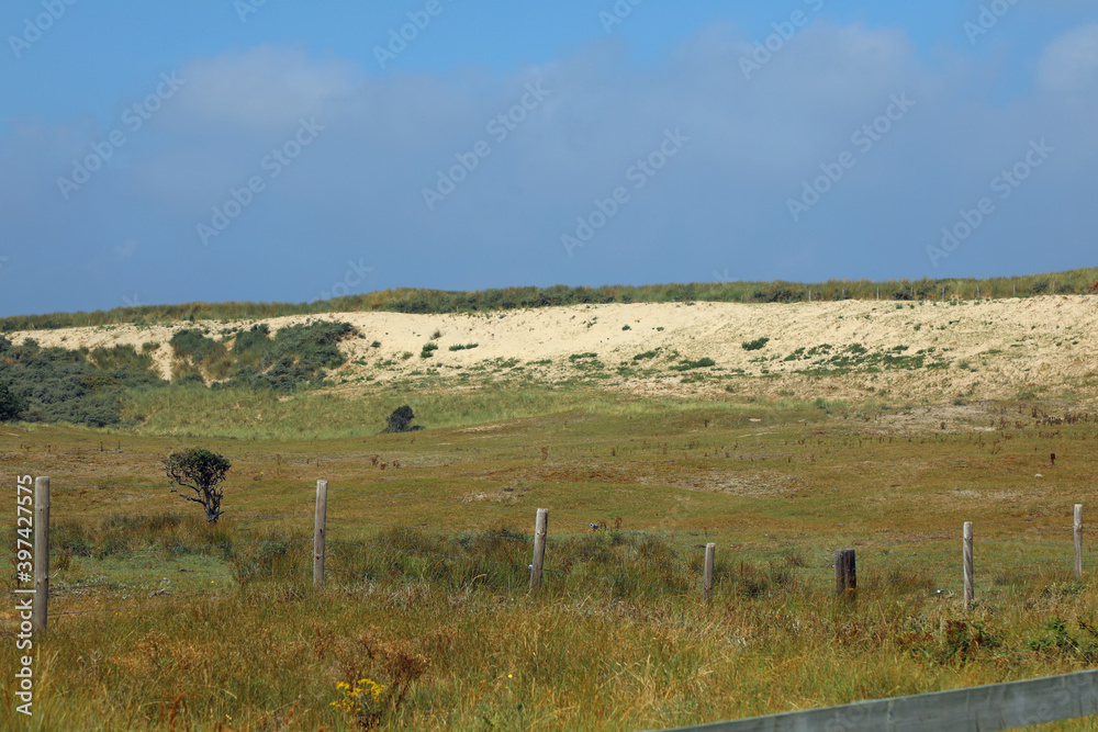 Dune at Zeeland, Netheralnds, Natural reserve