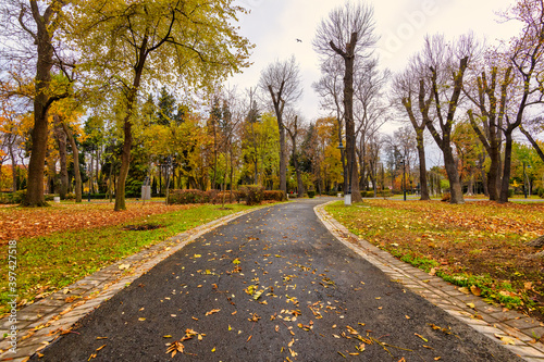 Autumn in the park