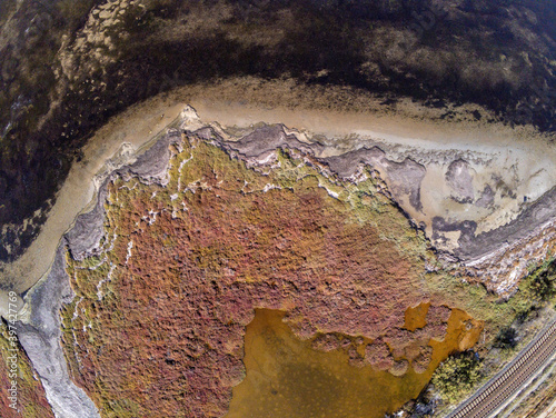 Obraz na płótnie Aerial view of a heather field w salonie