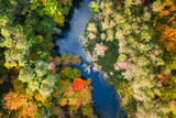Top view of river and colorful forest, aerial view
