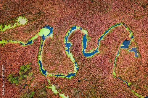 Fotografia Top view of brown swamps in autumn, drone view