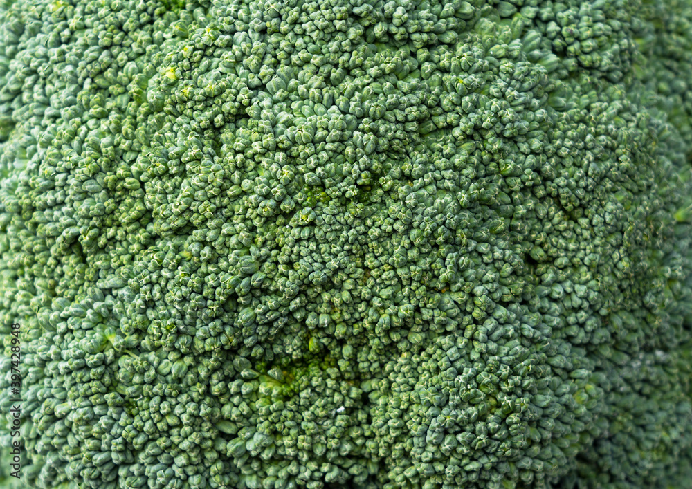 Close-up of broccoli across the screen